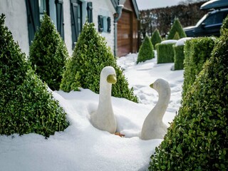 Casa de vacaciones Bütgenbach Grabación al aire libre 6
