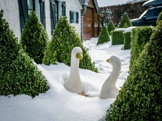Vakantiehuis Bütgenbach Buitenaudio-opname 8