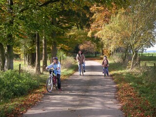 Vakantiehuis Burg-Reuland Omgeving 26