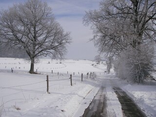 Casa per le vacanze Burg-Reuland Ambiente 28