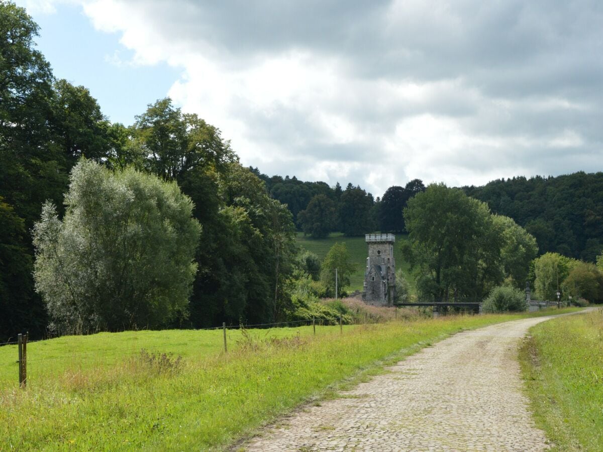 Ferienhaus Theux Außenaufnahme 8