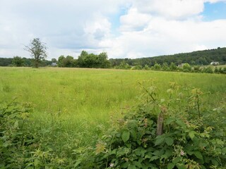 Vakantiehuisje Spa Omgeving 33