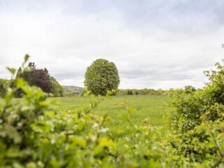 Vakantiehuisje Spa Omgeving 32