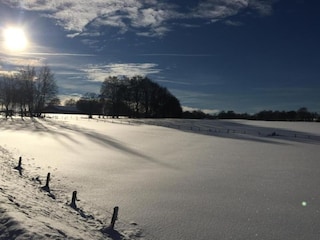 Apartment Spa Umgebung 24