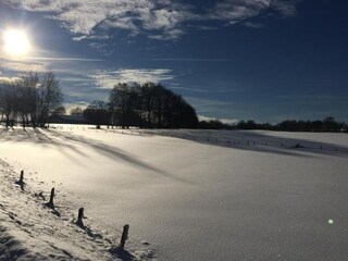 Appartement Spa Environnement 24