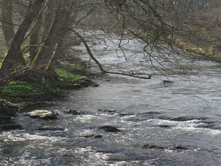 Casa de vacaciones Spa Entorno 35