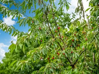 Appartamento Aywaille  33