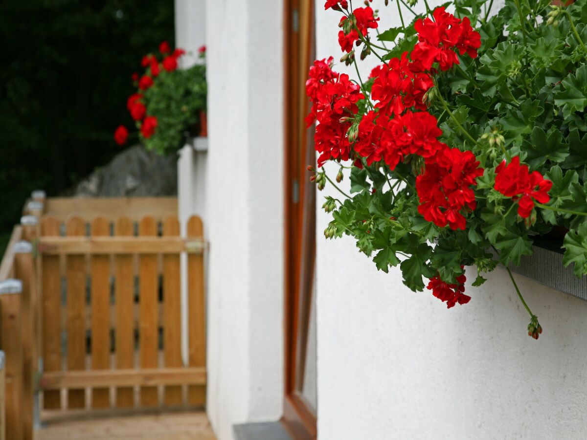 Ferienhaus Aywaille Außenaufnahme 6