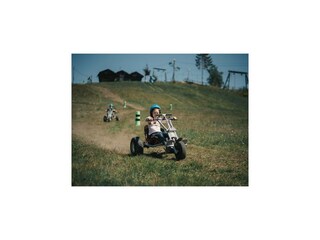 Ferienhaus Robertville Umgebung 24