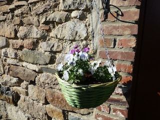 Maison de vacances Robertville  21