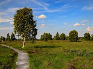 Appartement Waimes Omgeving 34
