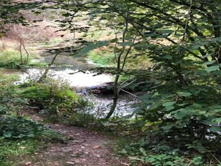 Chalet Robertville Environnement 32