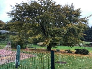 Chalet Robertville Entorno 27