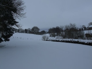 Ferienhaus Robertville Außenaufnahme 5