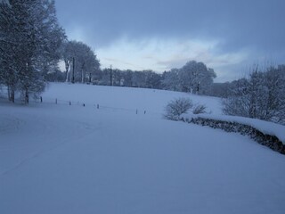 Holiday house Robertville Outdoor Recording 9