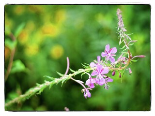 Appartamento Robertville  40