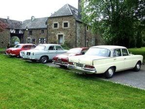 Studios im Herrenhaus in Robertville