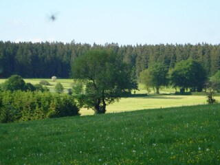 Vakantiehuis Robertville Omgeving 26