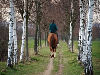 Vakantiehuis Waimes Omgeving 24