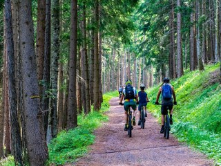 Vakantiehuis Waimes Omgeving 25