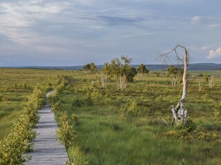 Maison de vacances Waimes Environnement 32