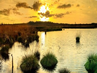Vakantiehuis Waimes Omgeving 27