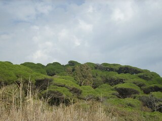 Umgebung