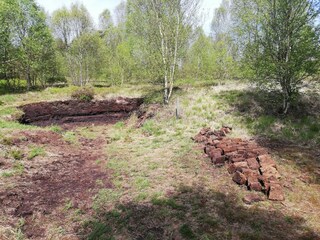 Vakantiehuis Robertville Omgeving 30