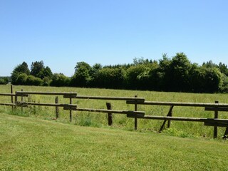 Holiday house Robertville Outdoor Recording 4