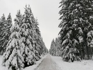 Holiday house Robertville Environment 28