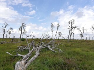 Vakantiehuis Robertville Omgeving 29