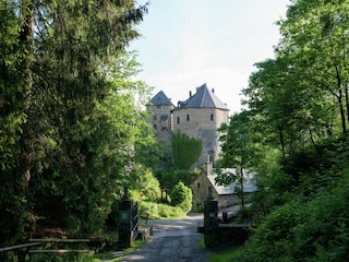 Vakantiehuis Robertville Omgeving 44