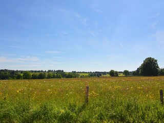Vakantiehuis Robertville Omgeving 37