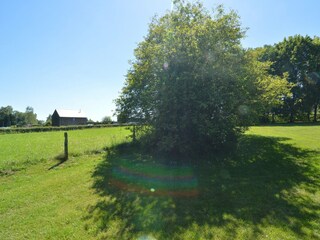 Chalet Robertville Buitenaudio-opname 7