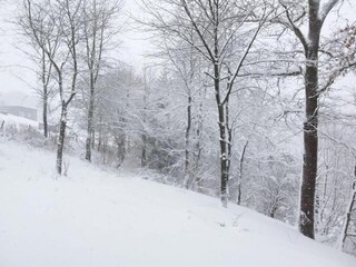 Chalet Robertville Entorno 38