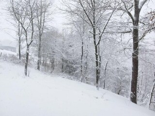 Chalet Robertville Environnement 32