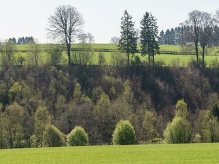 Bauernhof Waimes Umgebung 32