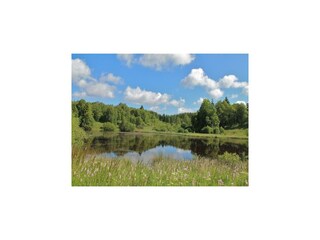 Villa Robertville Environnement 42