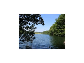 Villa Robertville Environnement 46