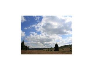 Villa Robertville Environment 55