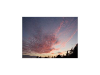 Villa Robertville Environment 51