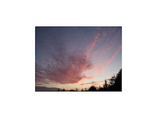 Villa Robertville Environnement 47