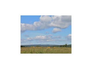 Villa Robertville Environnement 44
