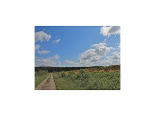 Villa Robertville Environment 57