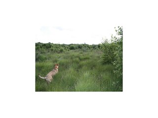 Villa Robertville Environnement 45