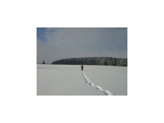 Villa Robertville Omgeving 46