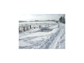 Villa Robertville Omgeving 53