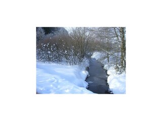 Villa Robertville Environnement 54