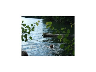 Villa Robertville Environnement 49