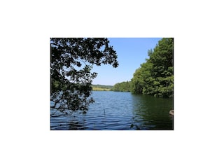 Villa Robertville Environnement 50